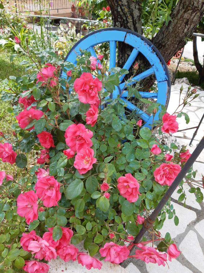 Bed and Breakfast Il Girasole Castelvecchio Calvisio Exterior foto