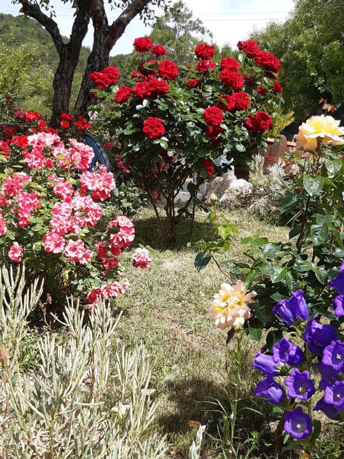 Bed and Breakfast Il Girasole Castelvecchio Calvisio Exterior foto