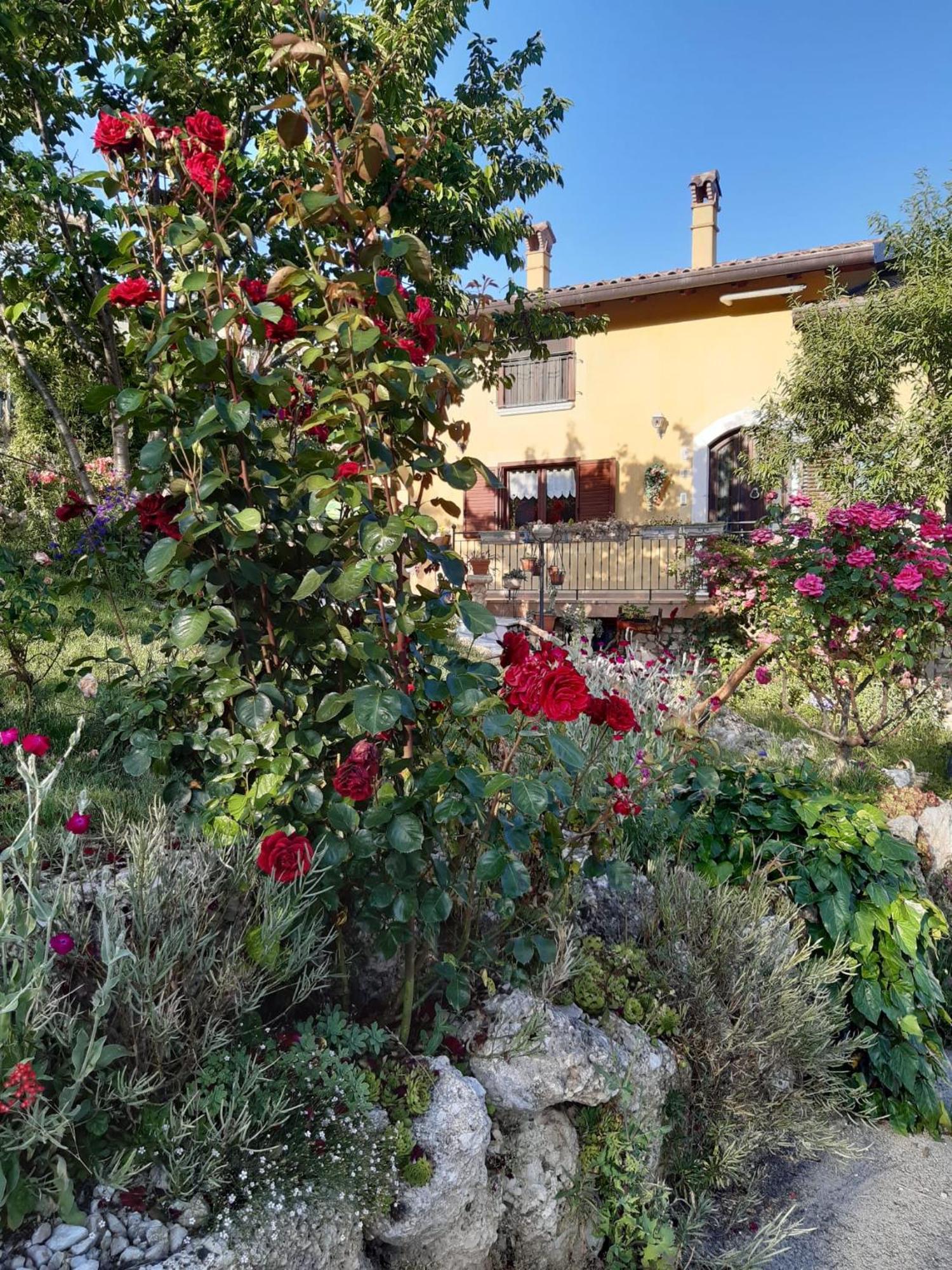 Bed and Breakfast Il Girasole Castelvecchio Calvisio Exterior foto