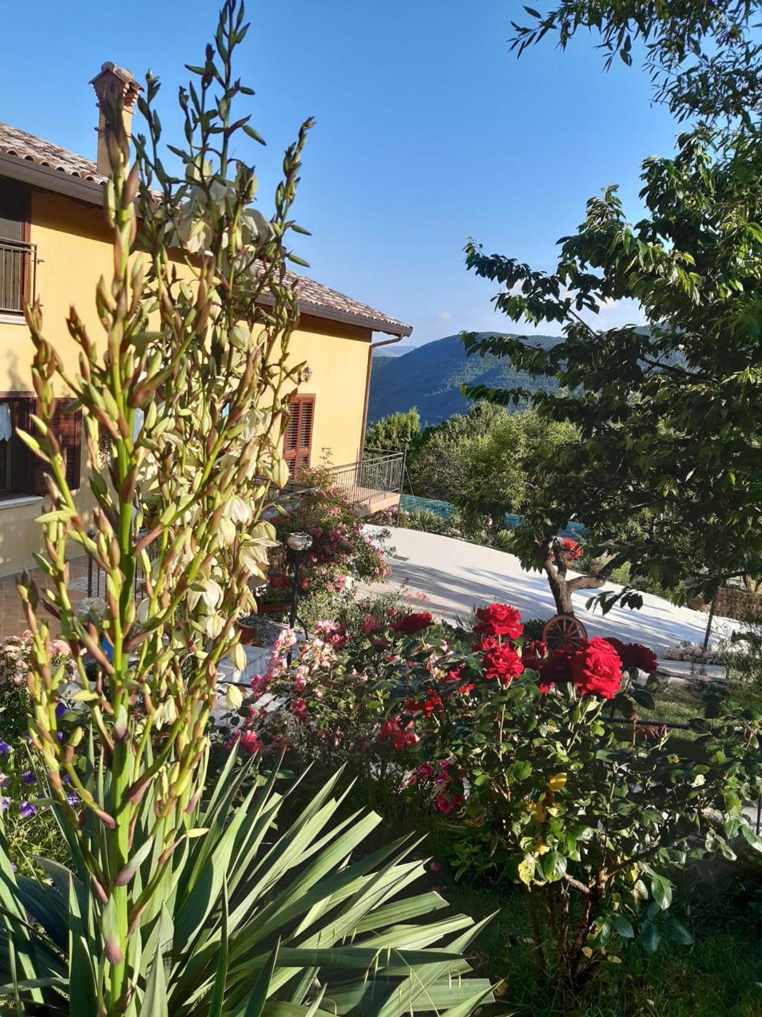Bed and Breakfast Il Girasole Castelvecchio Calvisio Exterior foto