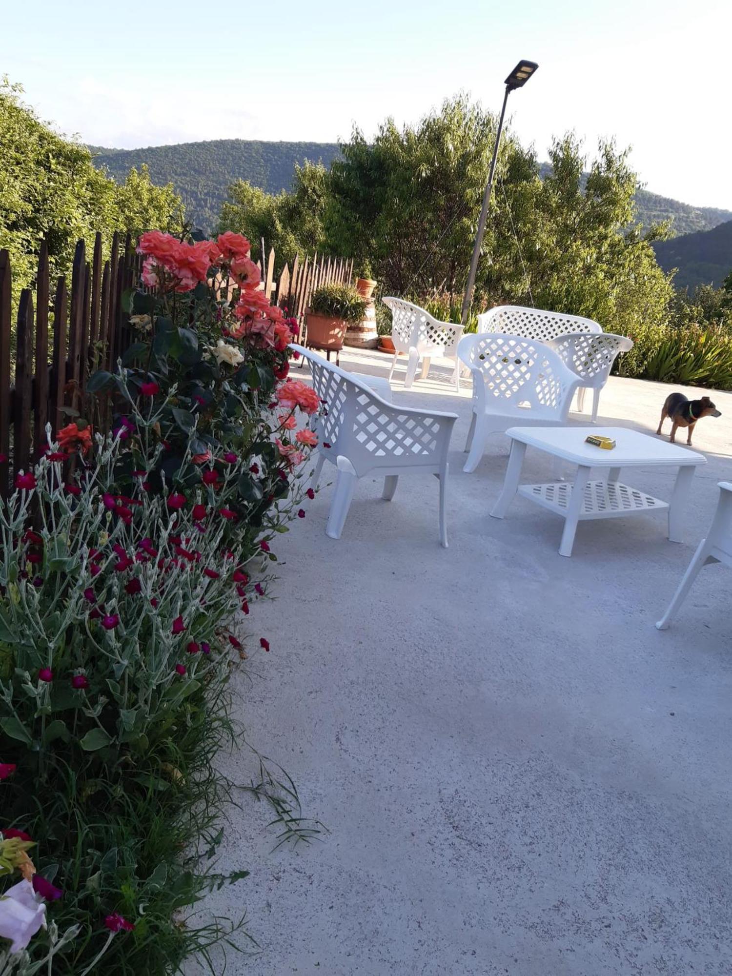 Bed and Breakfast Il Girasole Castelvecchio Calvisio Exterior foto