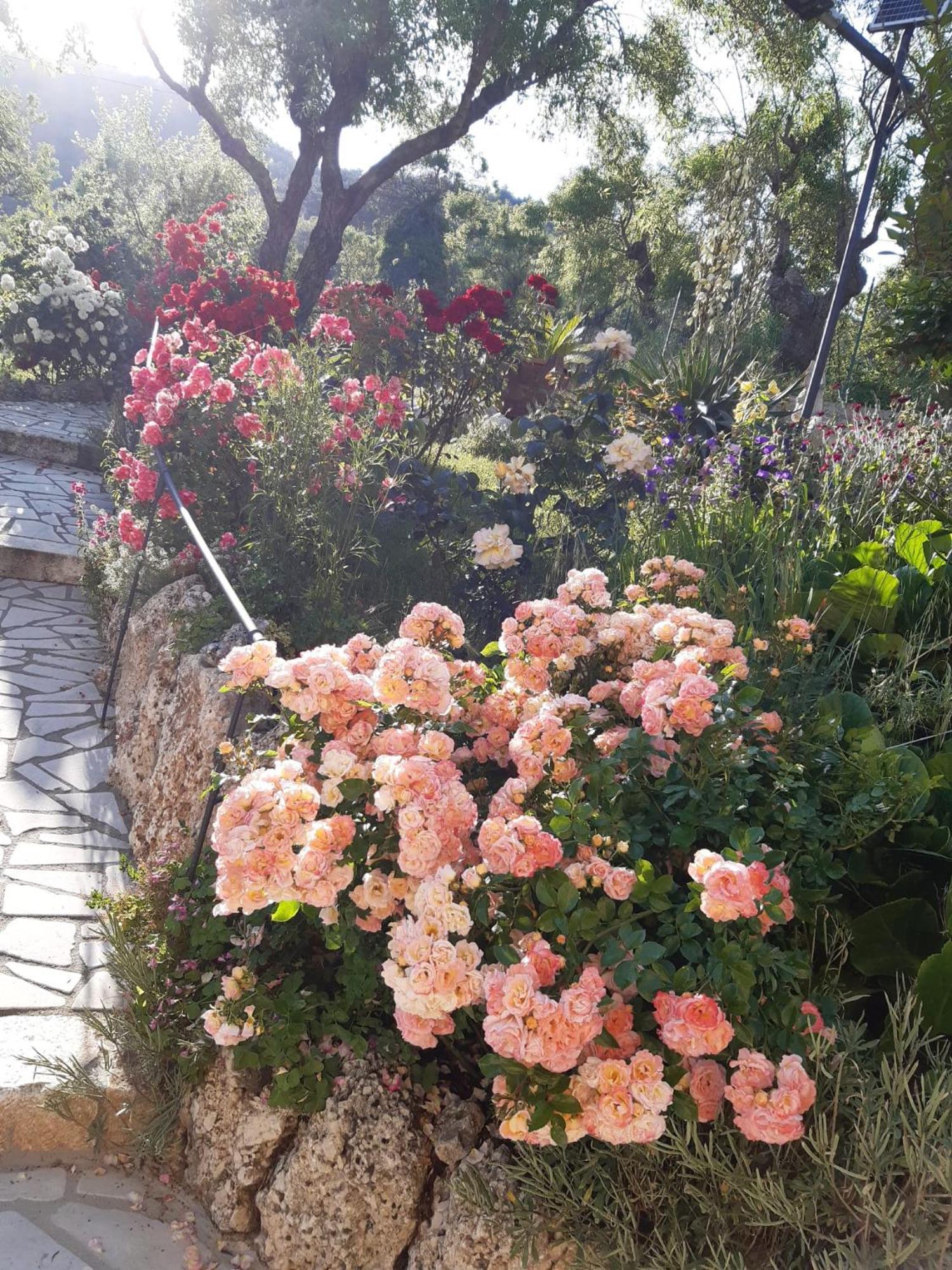Bed and Breakfast Il Girasole Castelvecchio Calvisio Exterior foto